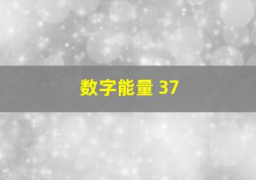 数字能量 37